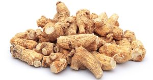 panax-ginseng