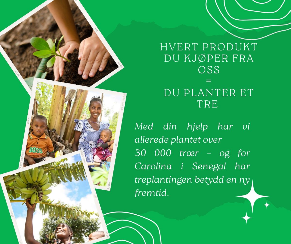 Dermaspa treplantingblogg001