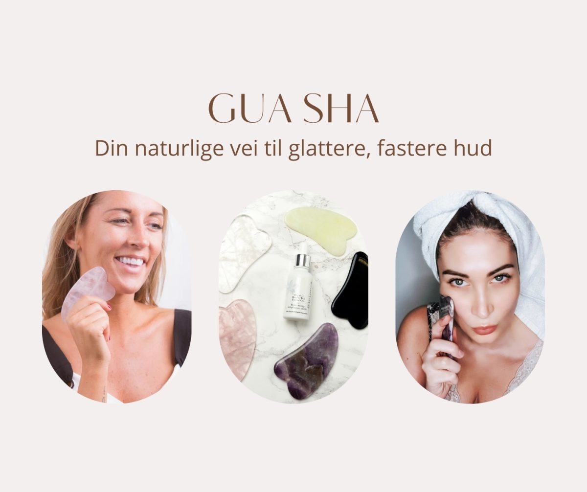 Gus sha blogg001