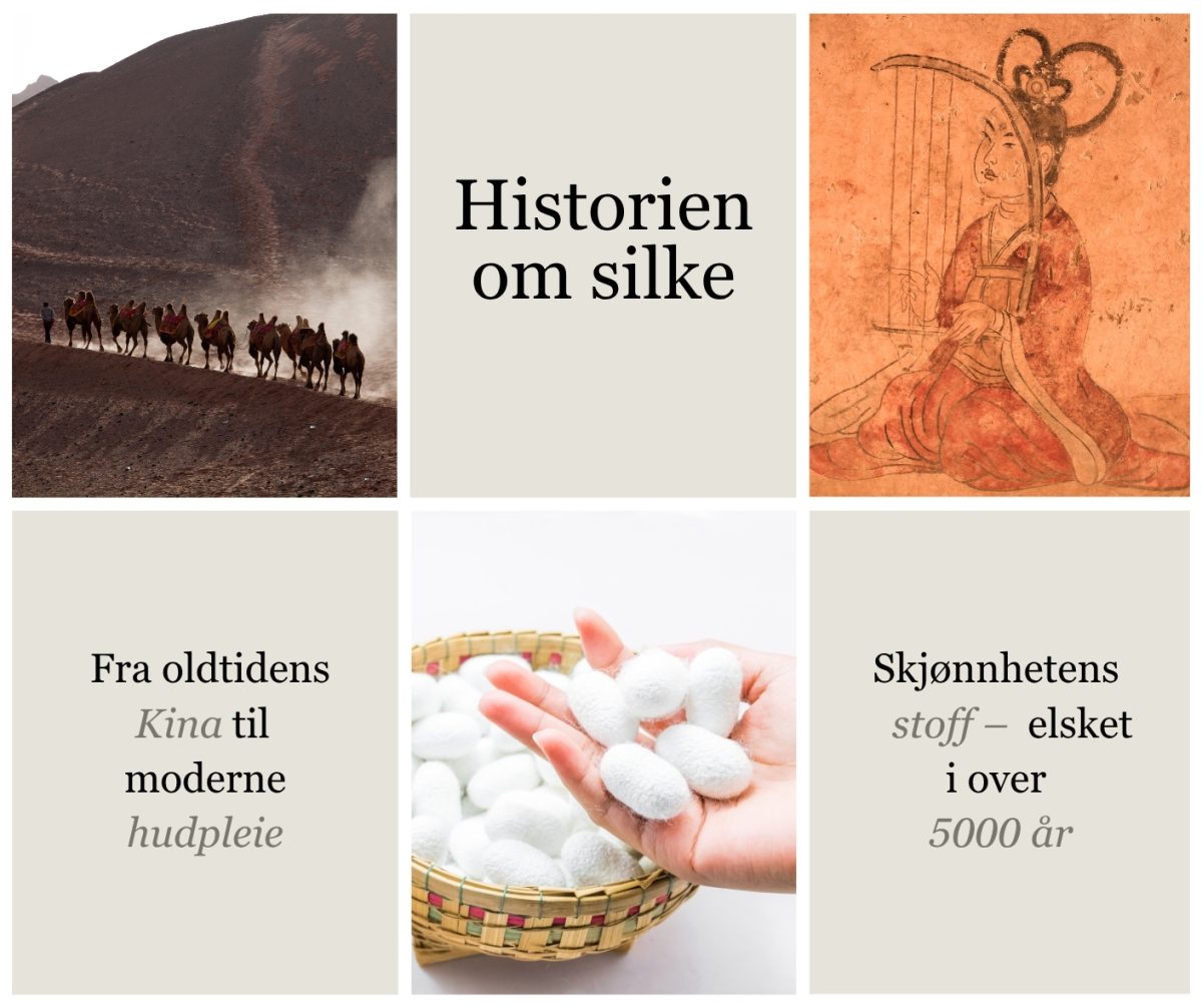 Historien om silke elsker i over 5000arblogg001